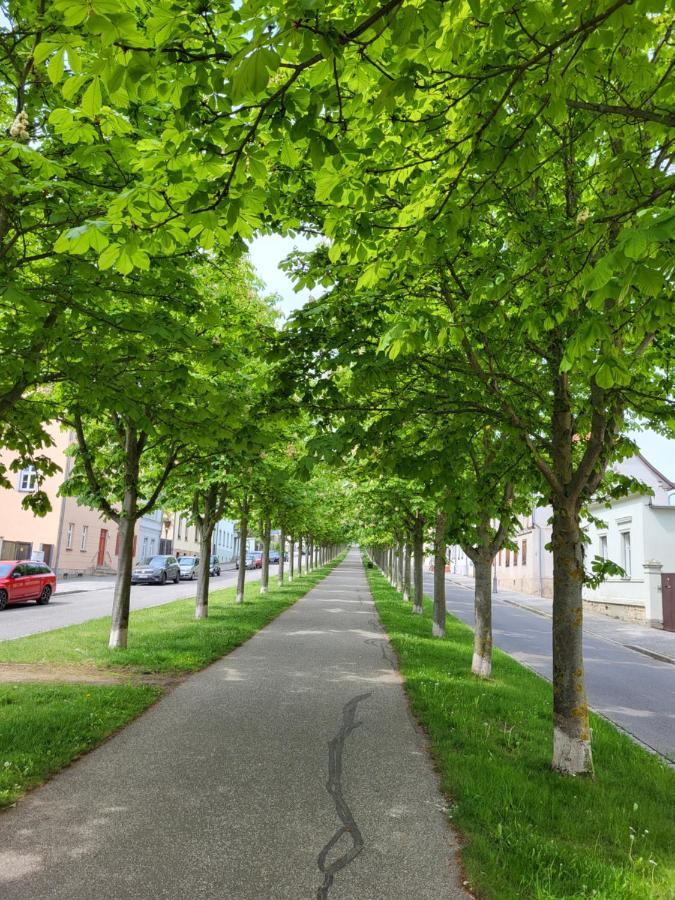 Alleeblick Ballenstedt Zewnętrze zdjęcie