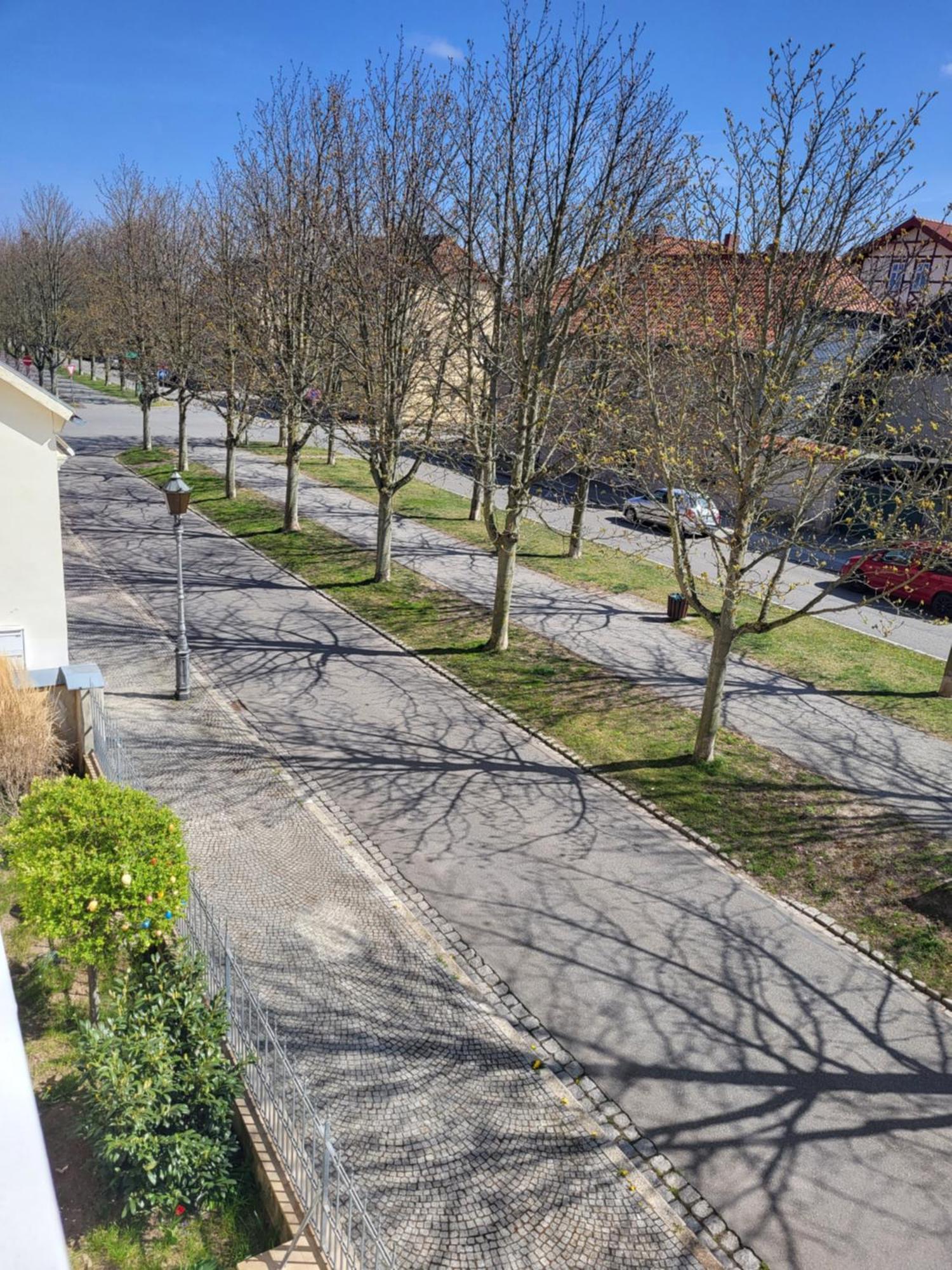 Alleeblick Ballenstedt Zewnętrze zdjęcie